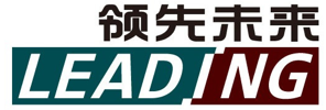 领先未来科技集团有限公司